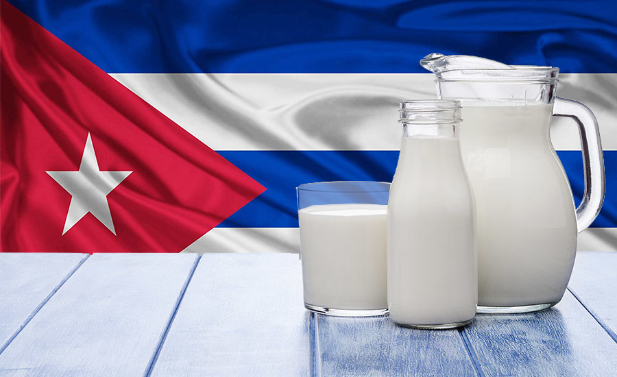 Solo liberando el campo habrá más leche en Cuba