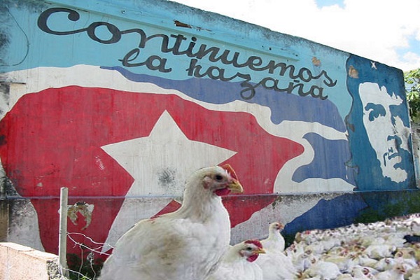 Cuba el único país donde te dicen lo que te toca para comer