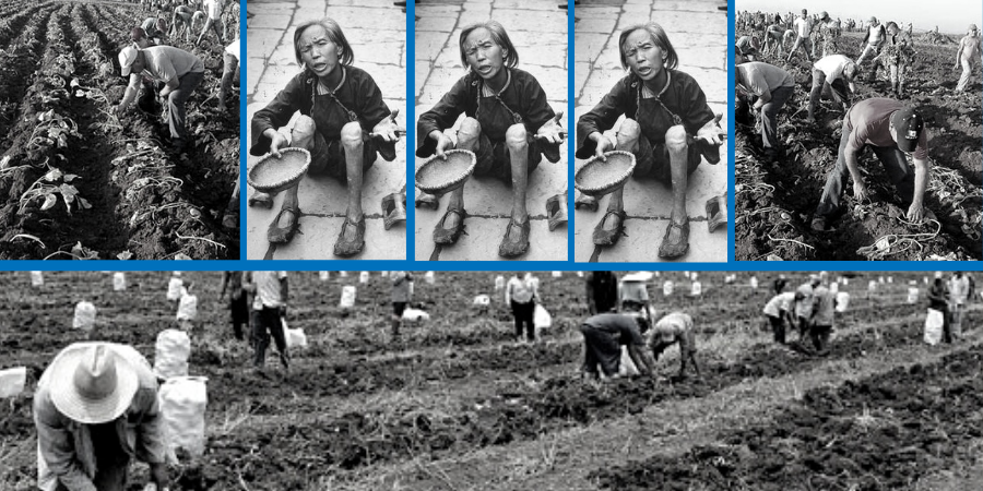 De las comunas de Mao al municipalismo en la agricultura en Cuba