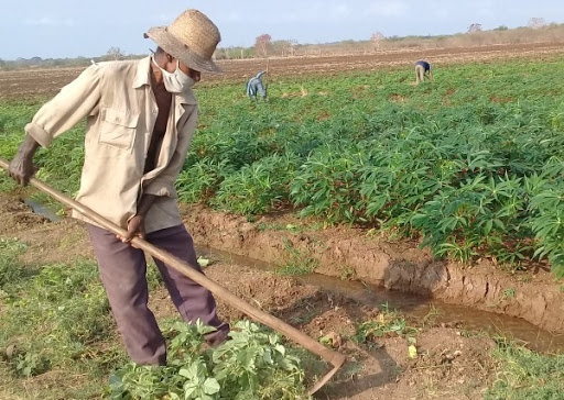 No habrá recuperación económica en Cuba sin liberar fuerzas productivas